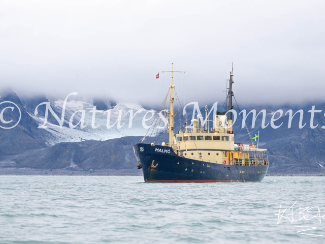 MS Malmo at Woodfjorden, Svalbard