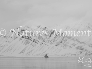 Tempelfjorden Monochromatic