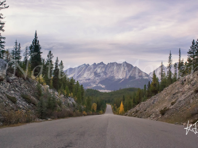 Maligne Lake Drive - Destination Unknown