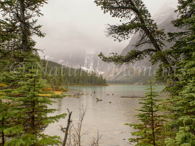 Cavell Lake - A Glimpse of Paradise