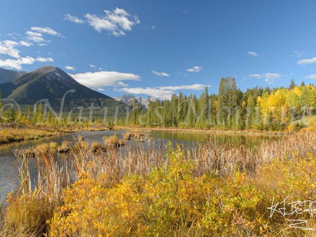 Vermillion Lake - Autumn Blanket