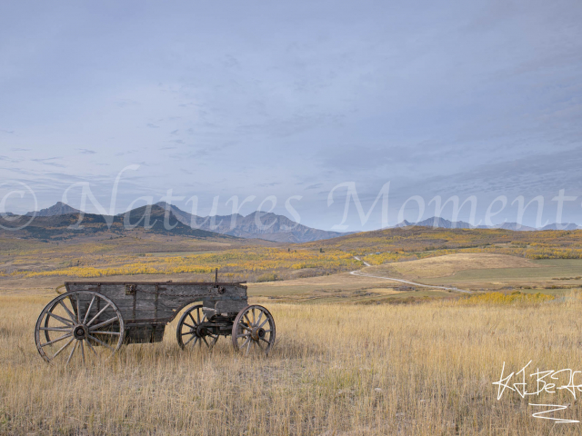 Old Cart near Waterton