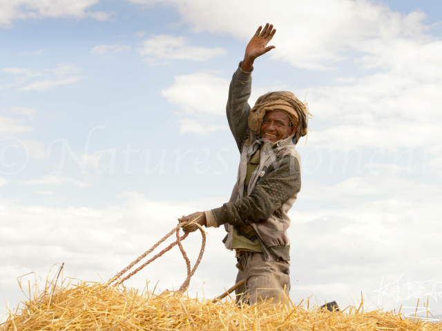 Ethiopian Farmer Ethiopian Farmer