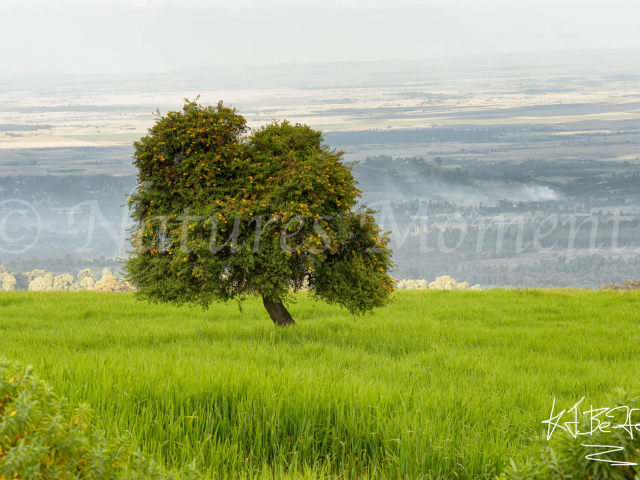 Bale - Is this Really Ethiopia