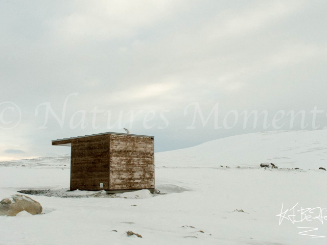 Dovrefjell Restroom