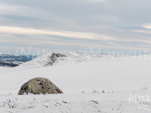 Dovrefjell towards Dombas