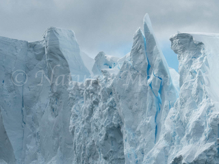 Iceberg - Blue Steeple Iceberg - Blue Steeple