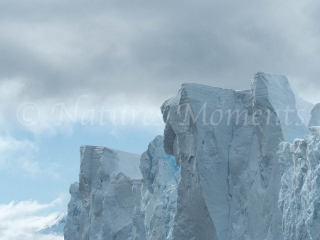 Iceberg - Blue Rock Iceberg - Blue Rock