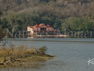Jogi Mahal at Ranthambore