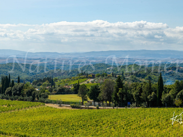 San Gusme Landscape