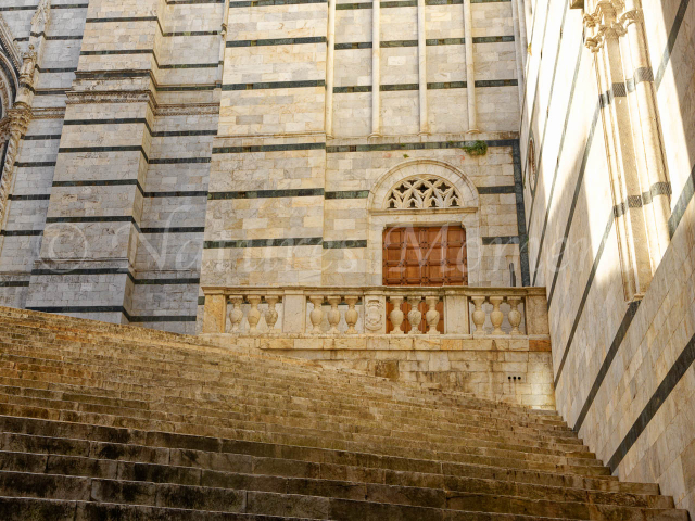 Duomo Di Siena Steps