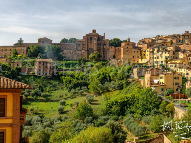 Via Salicotto