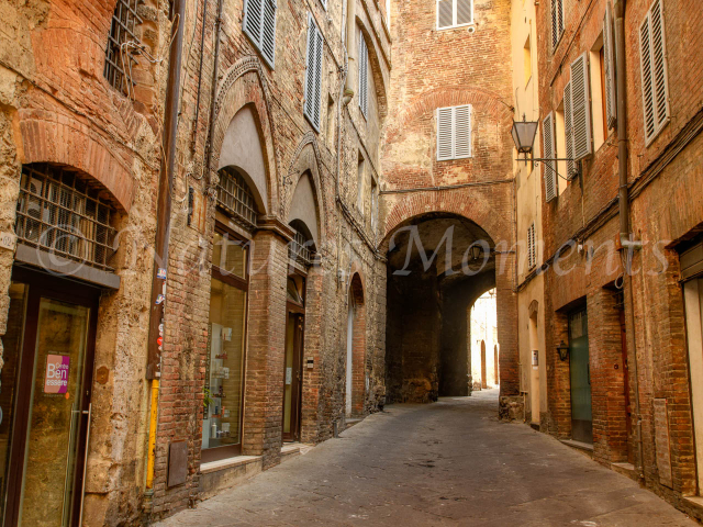 Via delle Terme Siena