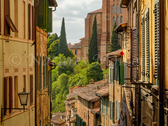 Vicolo della Rosa
