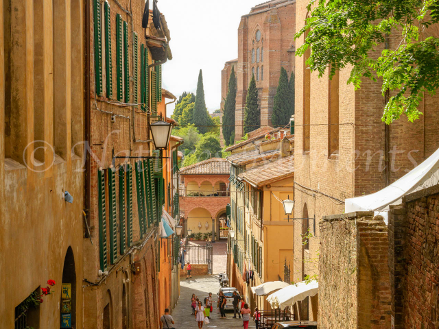 Via delle Terme