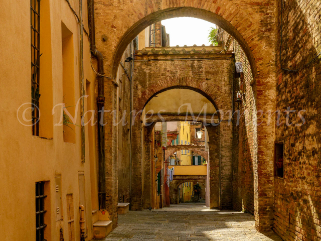 Via dei Termini Siena