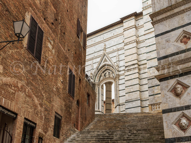 Duomo di Siena Steps