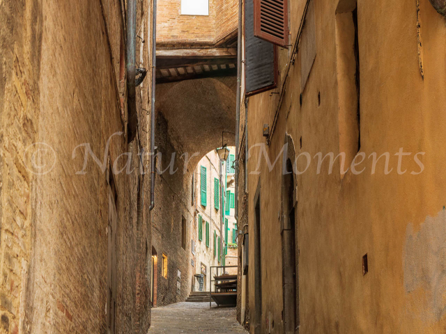 Piazza del Campo Side Street