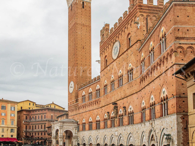Piazza del Campo