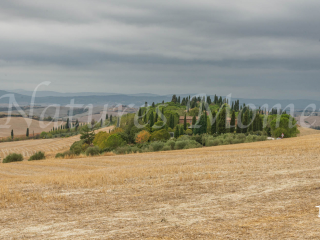 Crete Senesi