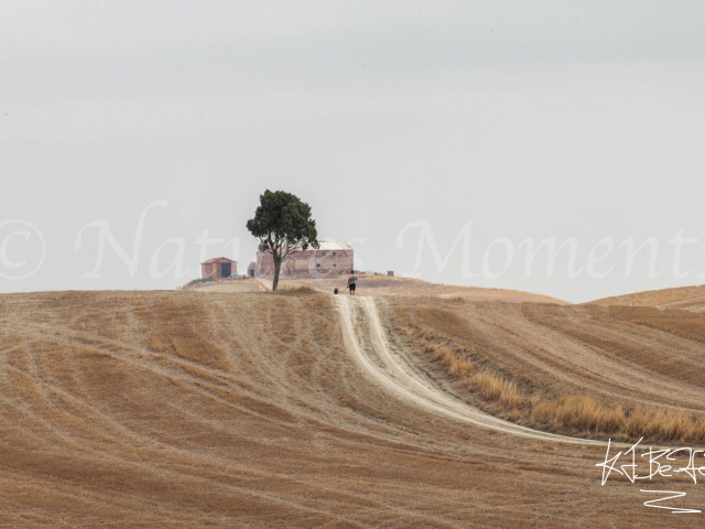 Walking the Dog, Crete Senesi
