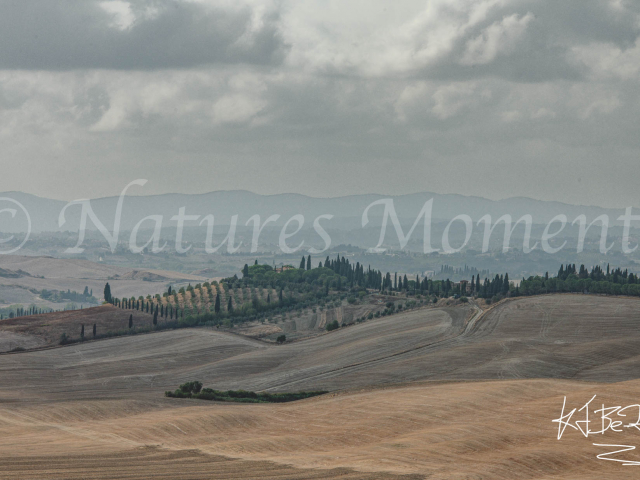 Crete Senesi