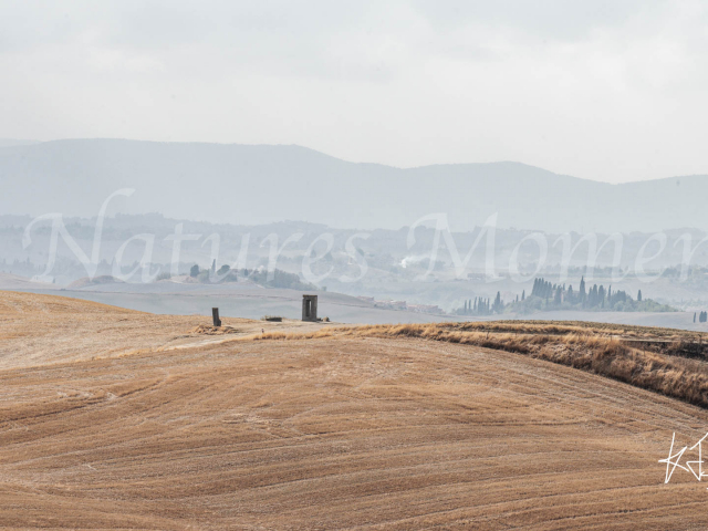 Site Transitoire Landscape