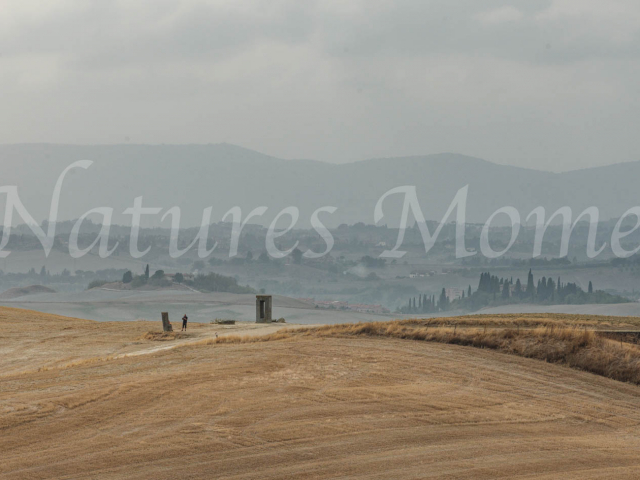 Site Transitoire Landscape