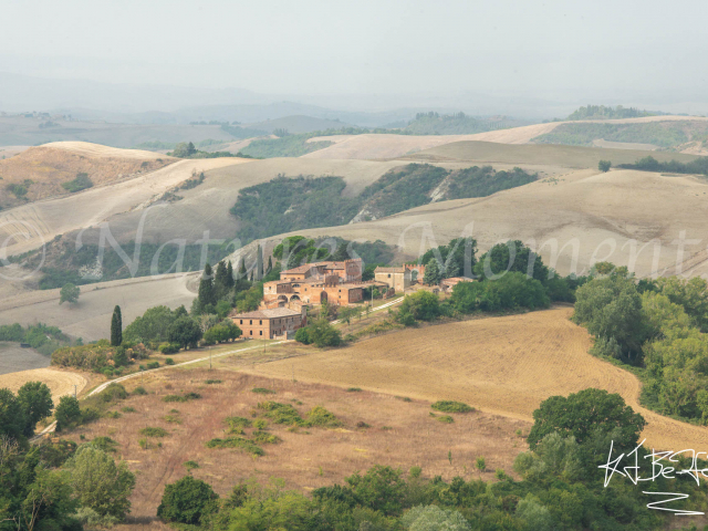 Villa near Montecontieri