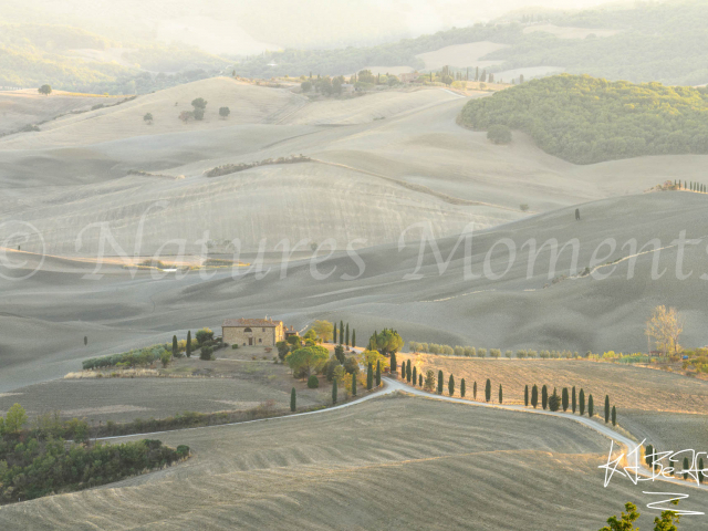 Pienza View