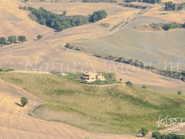 Montefollonico Landscape
