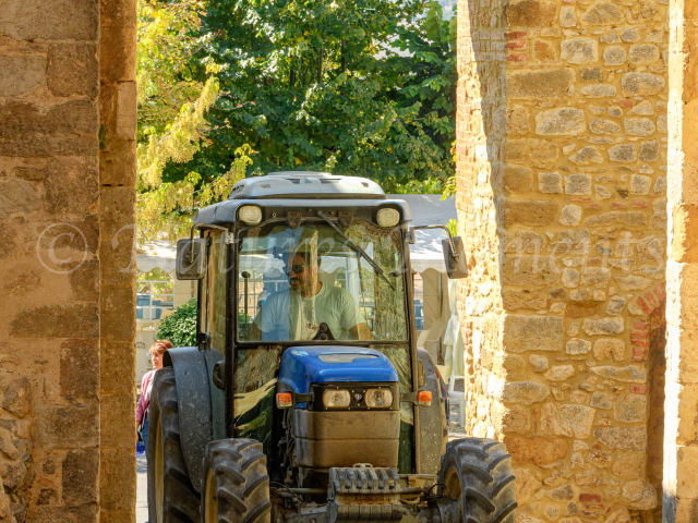 Montefollonico Harvest