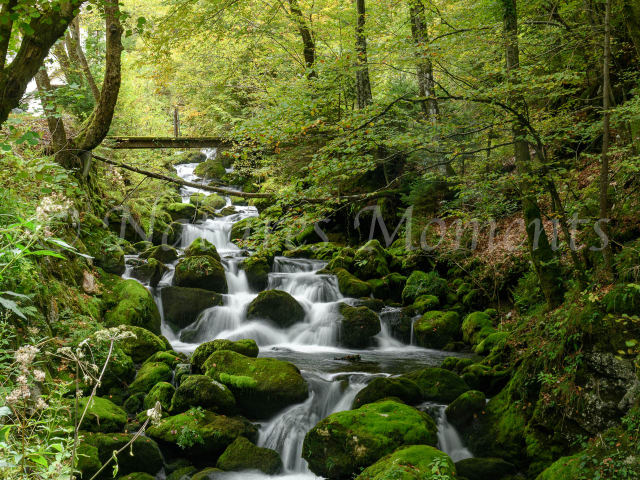 Kropa River