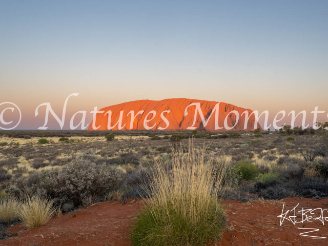 Ayers Rock at Uluru