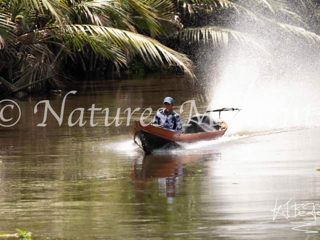 Fisherman on the Lamandau River