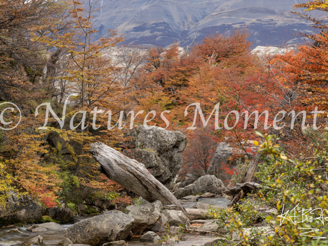 Autumn Colours, Chorrillo del Salto, Patagonia