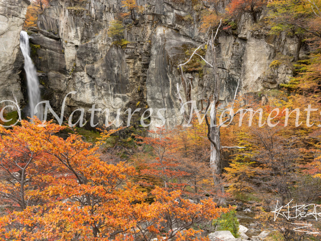 Waterfall at Chorrillo del Salto, Patagonia