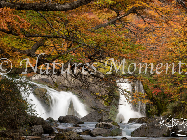 Autumn Colours, Río Canadon de los Toros