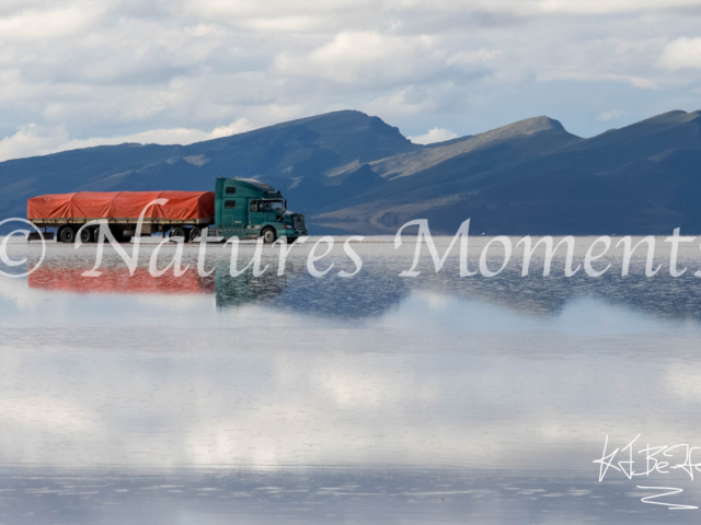 Articulated Lorry, Uyuni Salt Flats